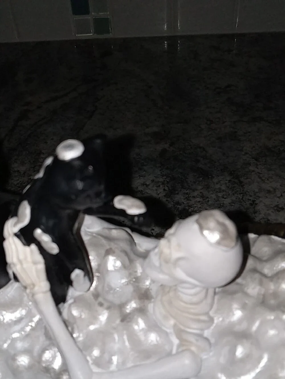 Happy Halloween his cute cat